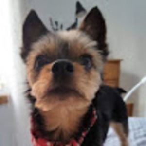 Meet your Posher, Alejandra